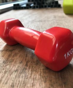 1kg vinyl dumbbell
