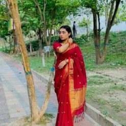 Half Silk Nakshi Pear Saree