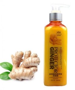 Ginger Shampoo 260 ML