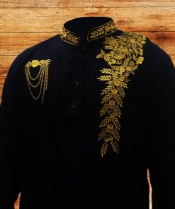 Indian Embroidery Panjabi -1
