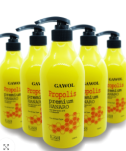LJGO Gawol propolis Premium Hanaro Hari shampoo and Conditioner 750ml
