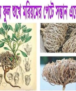 Moriom Flower midium size