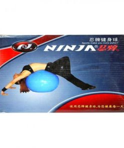 Ninja Gym Ball - Blue
