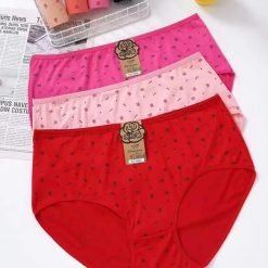 Under wears Lady Panties