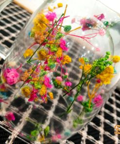 Everlasting Flower or Strawflower 2